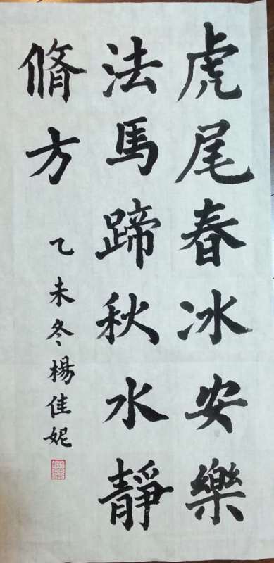 杨佳妮书法