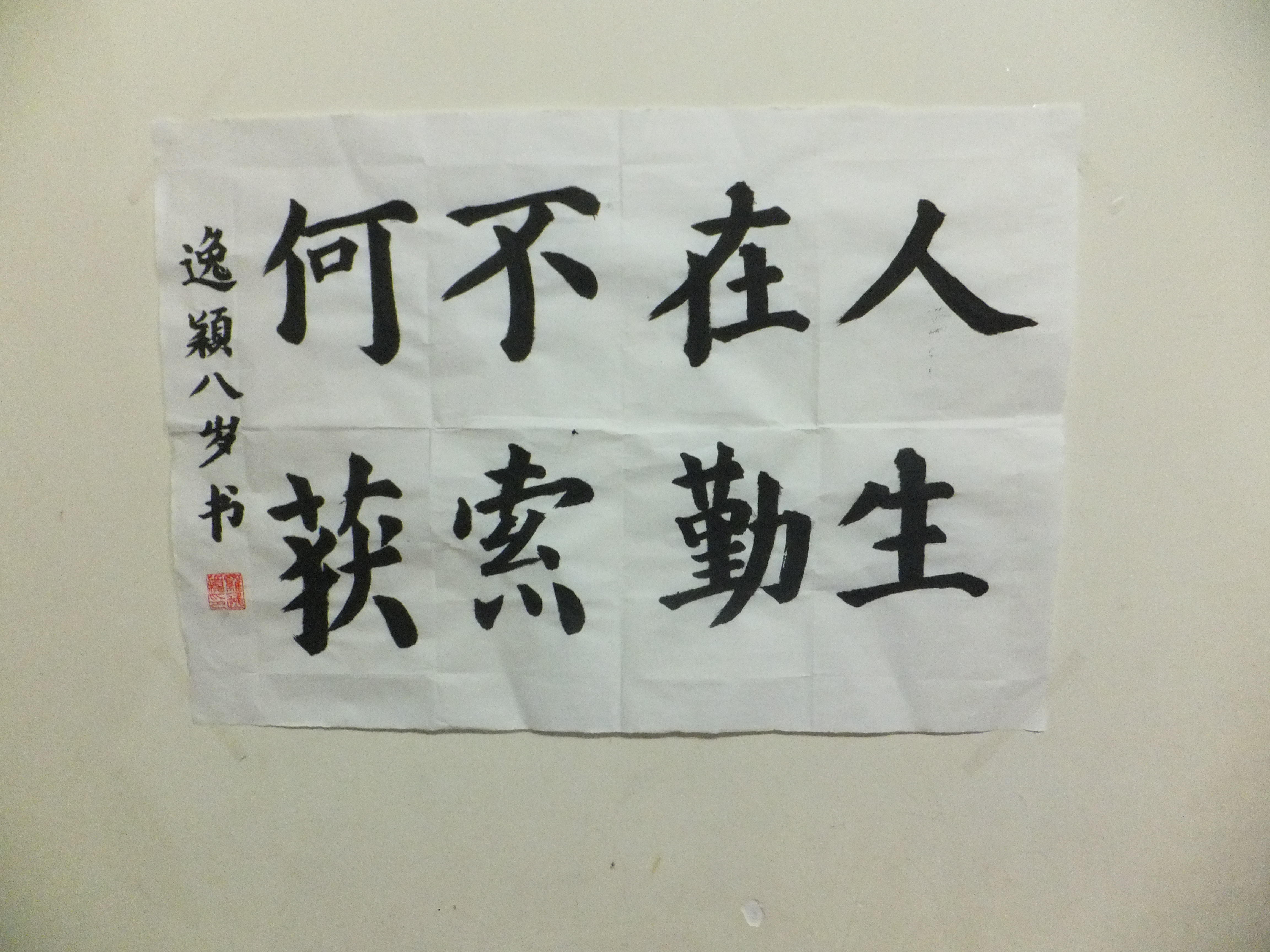 罗逸颍书法作品