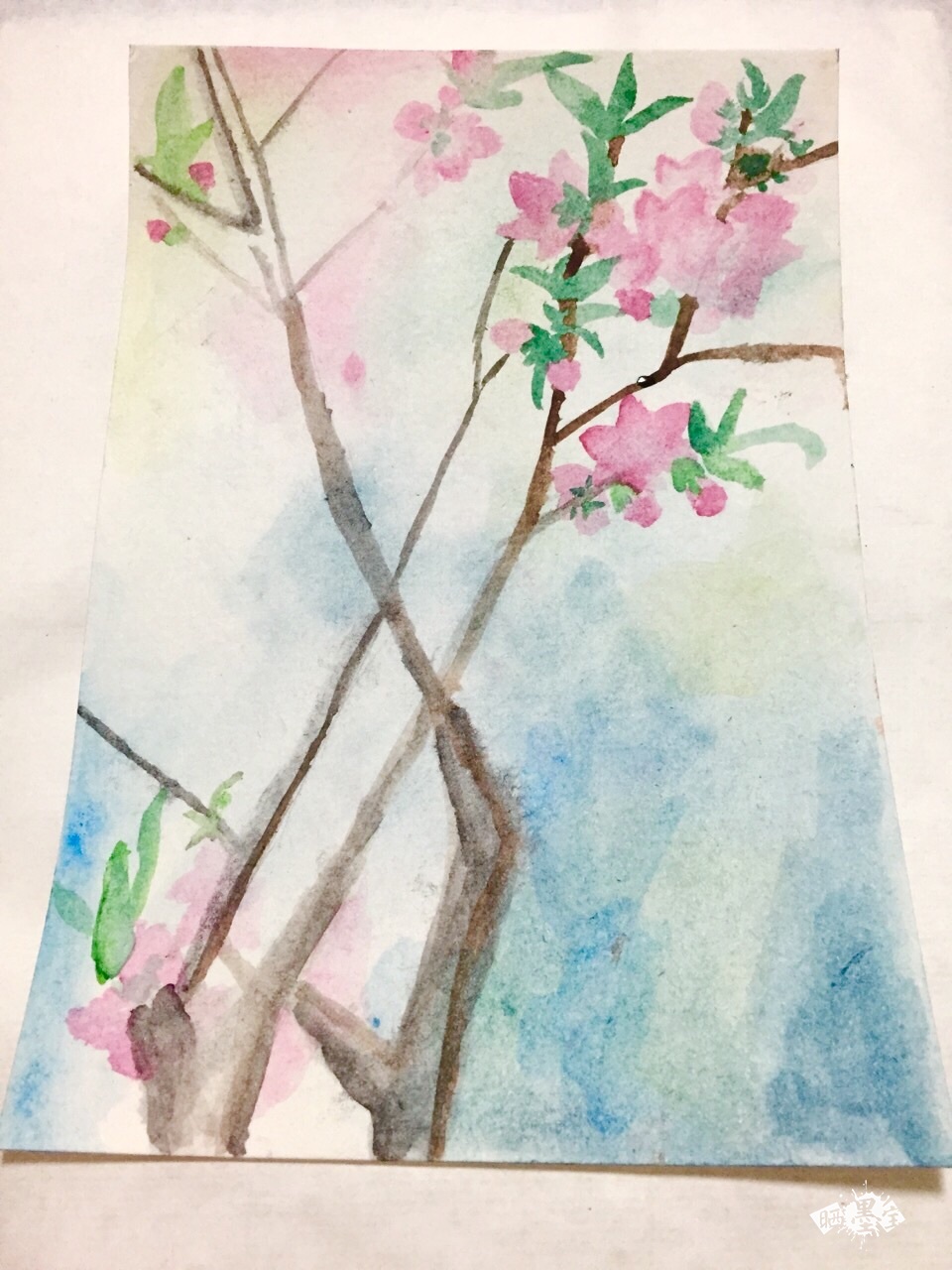 绘画