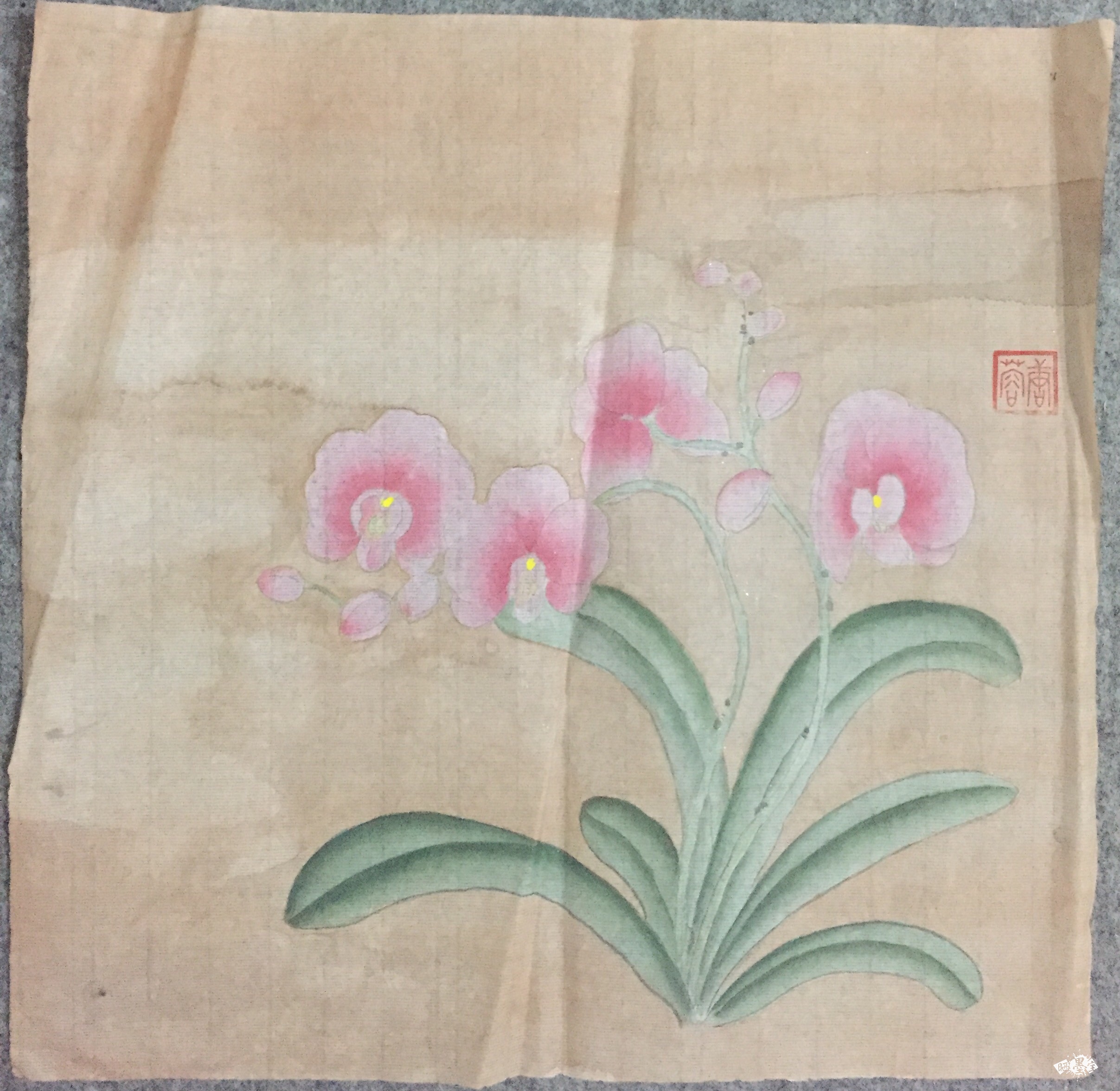 绘画