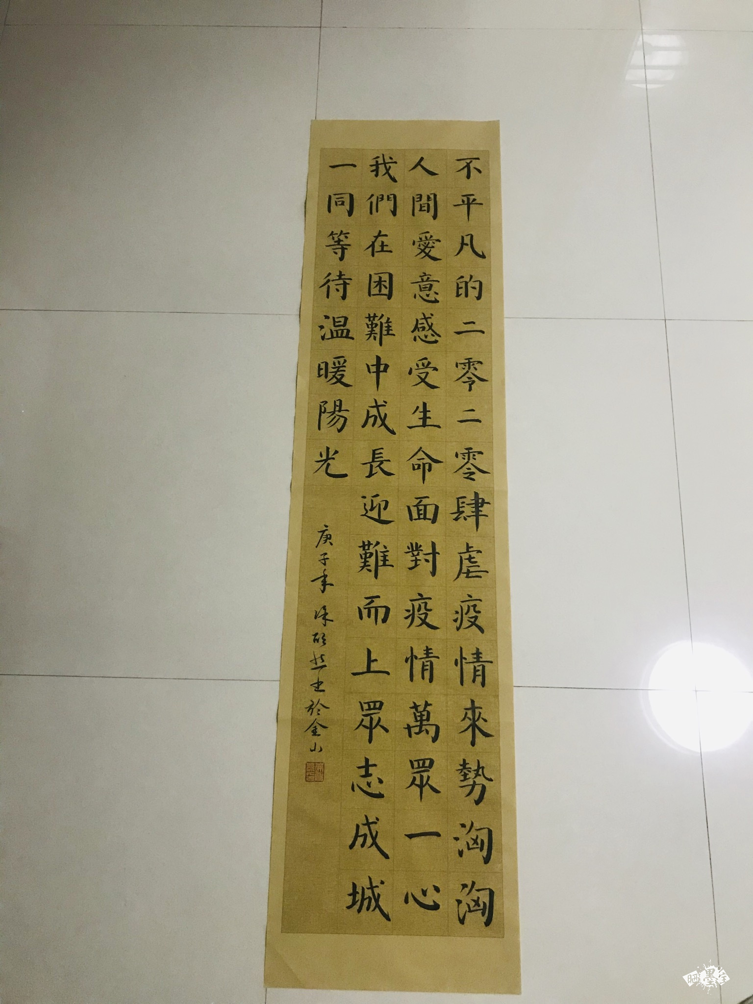 同在阳光下成长
