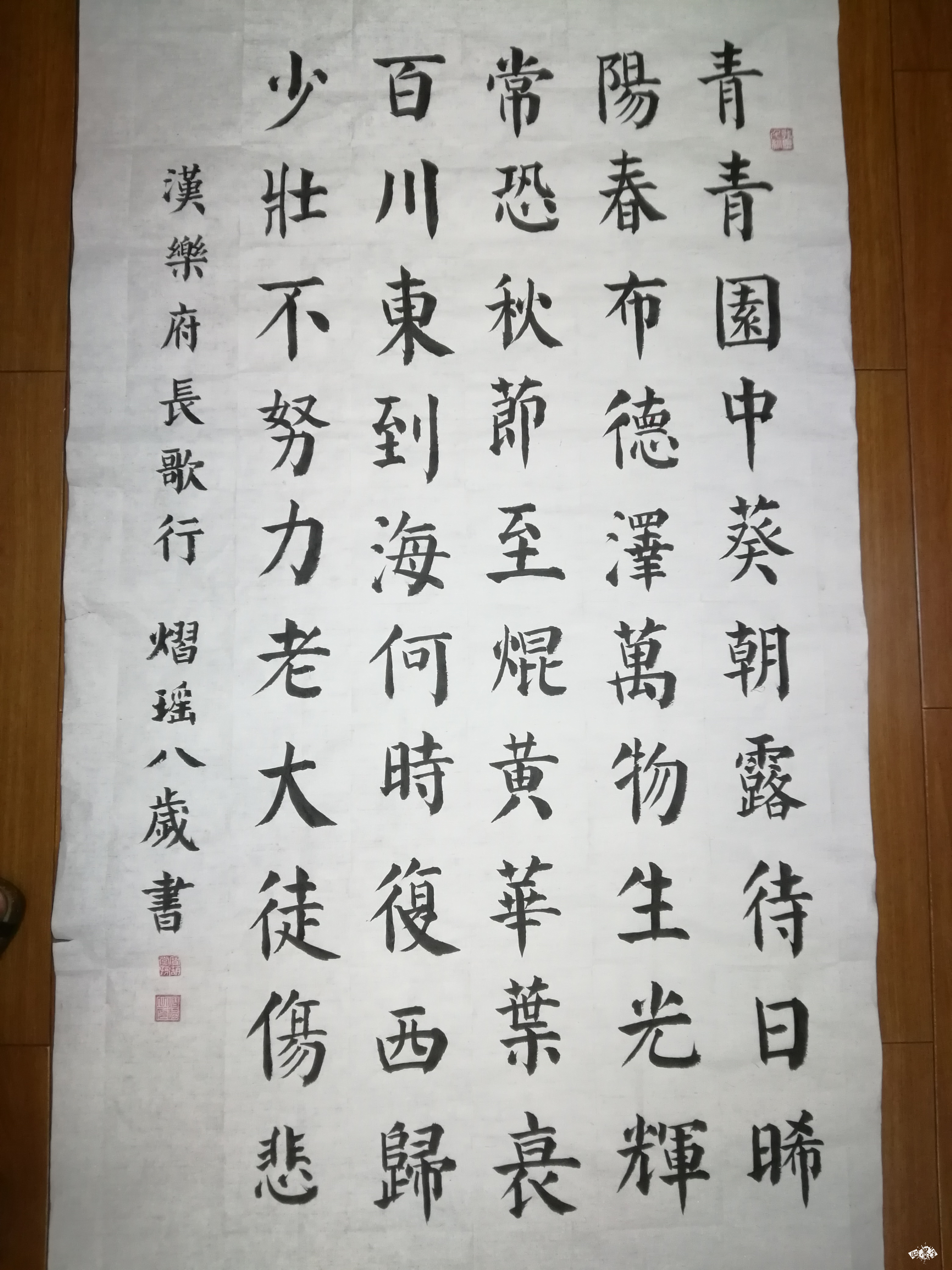 王熠瑶汉乐府长歌行